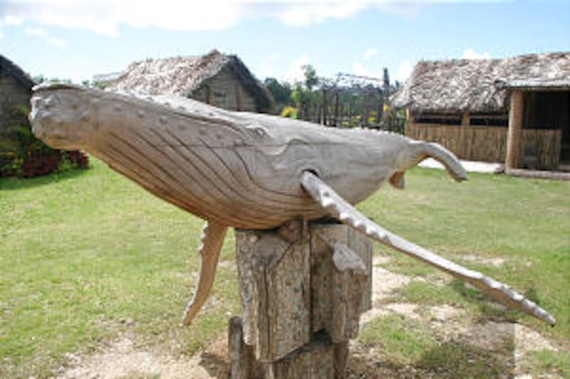 A hand-carved whale stands in the courtyard of Old Tonga, a replica of a traditional Tongan village,