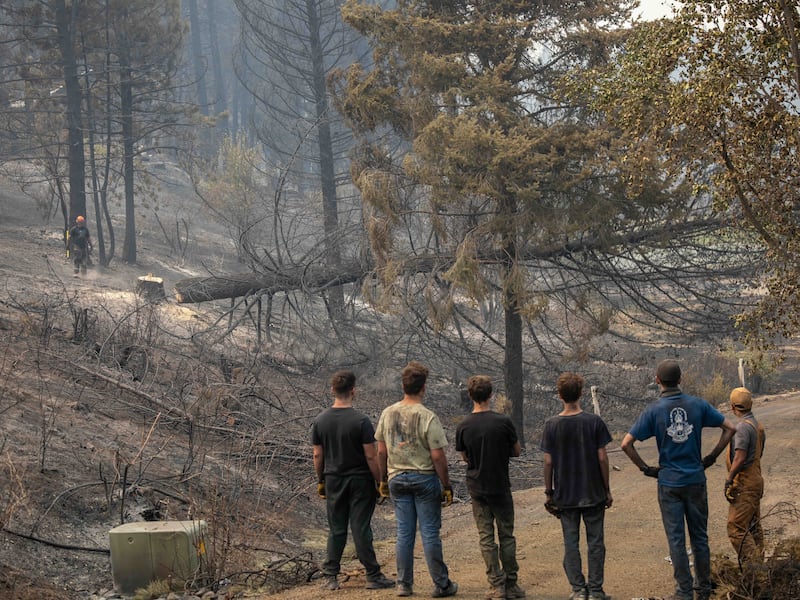 Young men and leaders from the Spokane Washington Mount Spokane Stake watch a burned tree fall as they help clear debris from a neighborhood damaged by wildfires in Spokane, Washington, on Monday, Aug. 3, 2026.