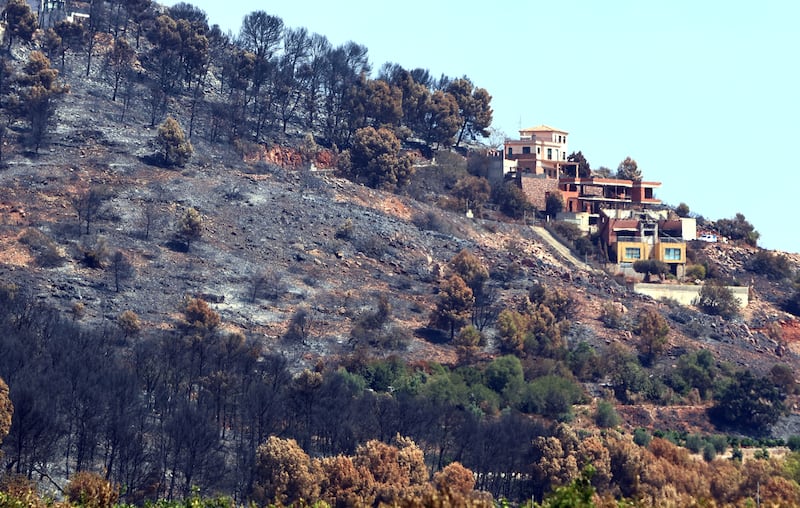 Burnt trees stand in an area scorched by a wildfire near Vila Vella, Valencia province, Spain, Thursday, July 30, 2026. (AP Photo/Damian Torres)