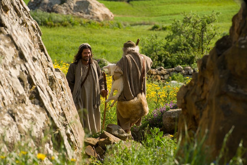 A shepherd finds his lost sheep.