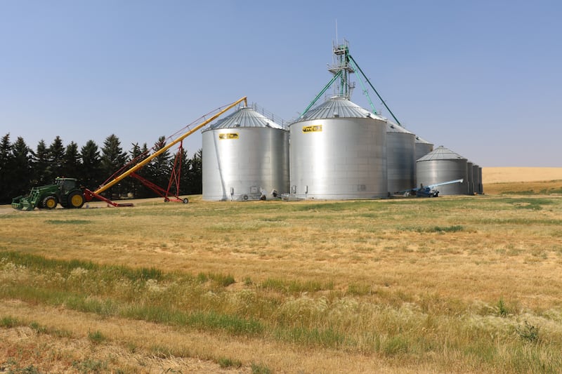 Massive grain bins at the Geraldine Montana Crops welfare farm store tons of durum wheat that will e