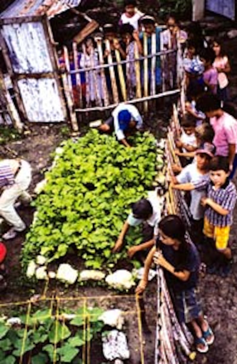 Garden at Corral de Piedra village school in Chiquimula, Guatemala, is part of Benson Institute proj