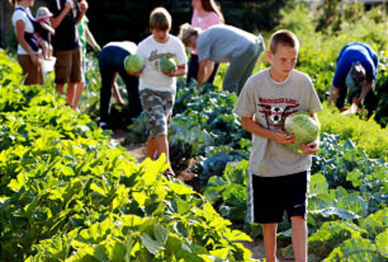 Tennessee Anderson, left, and Shadow Bishop carry cabbage and other vegetables harvested in the Batt