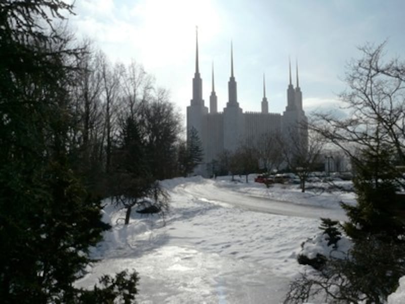 The reflection pond at the Washington D.C. Temple has been frozen much of the winter.